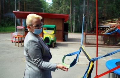 25 июня Светлана Денисова совместно с представителями «Молодёжка ОНФ» провела мониторинг Балатовского парка культуры и отдыха в городе Перми в рамках акции «Безопасность детства».